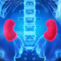 Kidney & Urinary