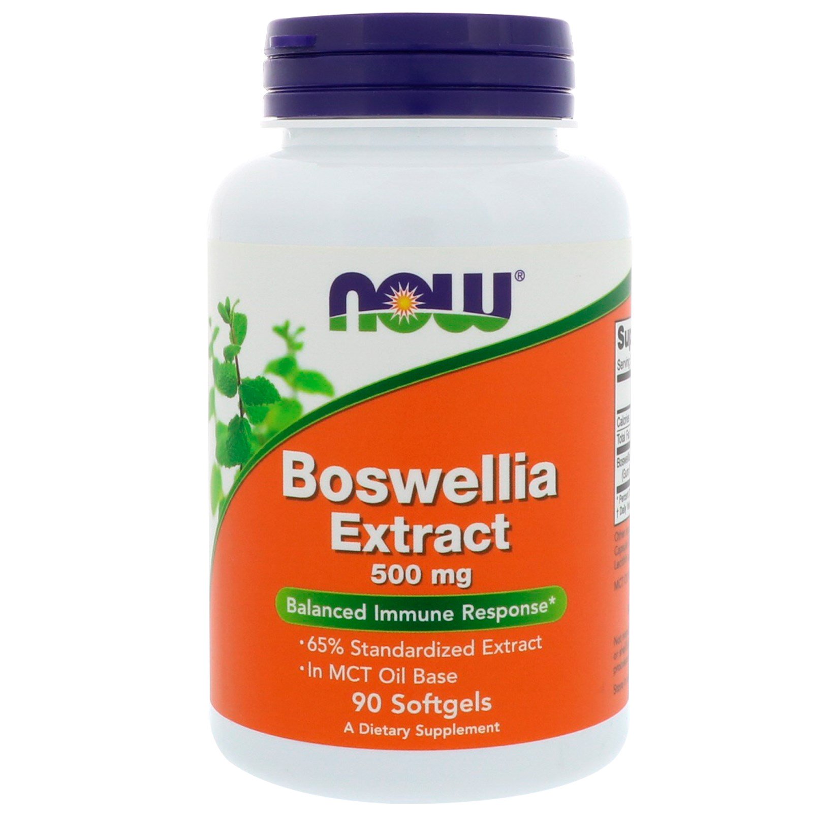 NOW Boswellia Extract 500mg