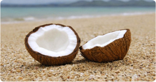 Kokonati Organic White Coconut Oil 