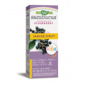 [CLEARANCE] Nature's Way Sambucus Immune Syrup for Kids 