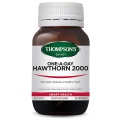 Thompson’s Hawthorn 2000 One-a-Day