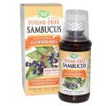 Nature's Way Sambucus Sugar-Free Syrup