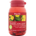 [CLEARANCE] Pro-Life Dandelion Leaf