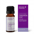 Absolute Essential Cinnamon Leaf (Organic)